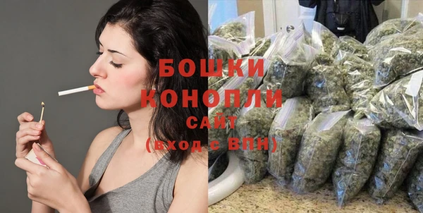 эйфоретик Майский