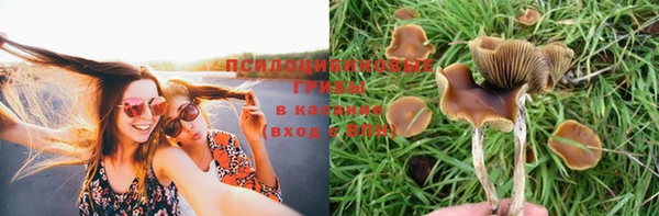 гашишное масло Магас