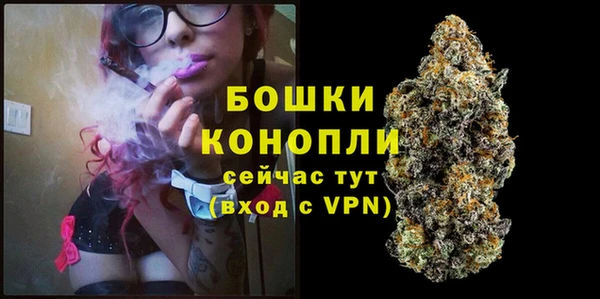 эйфоретик Майский