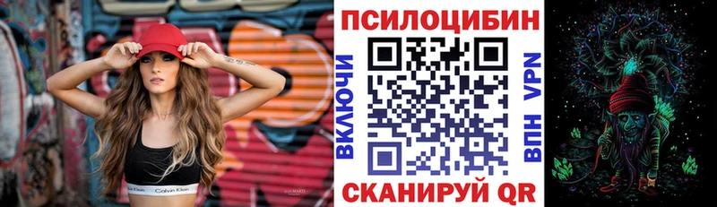 Галлюциногенные грибы GOLDEN TEACHER  даркнет сайт  Шацк 